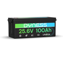 Акумулятор Dyness LiFePO4 25.6 V 100 Ah 2560 W